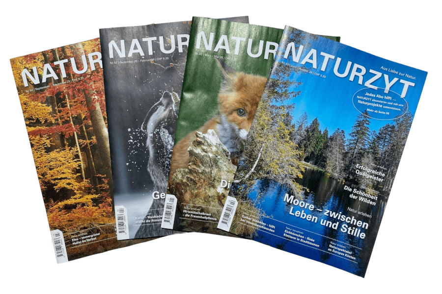 NATURZYT Magazin aktuelle AUsgaben