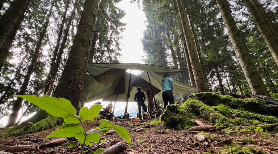 Grünes Zelt in einem Wald mit Menschen