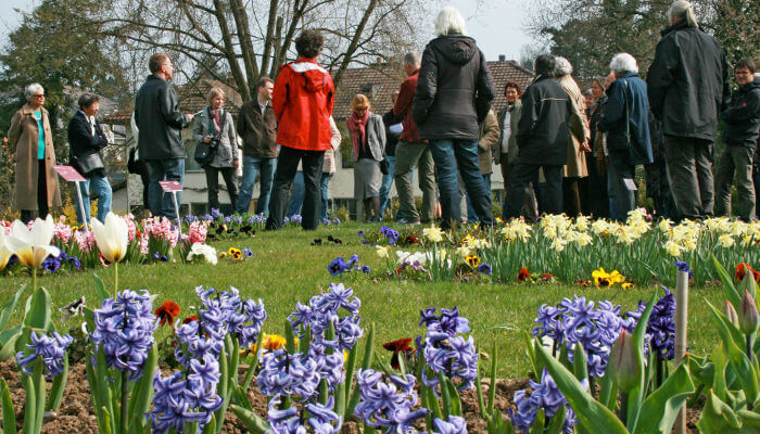 Frühlingsführung im Schaugarten Elfenau Bern