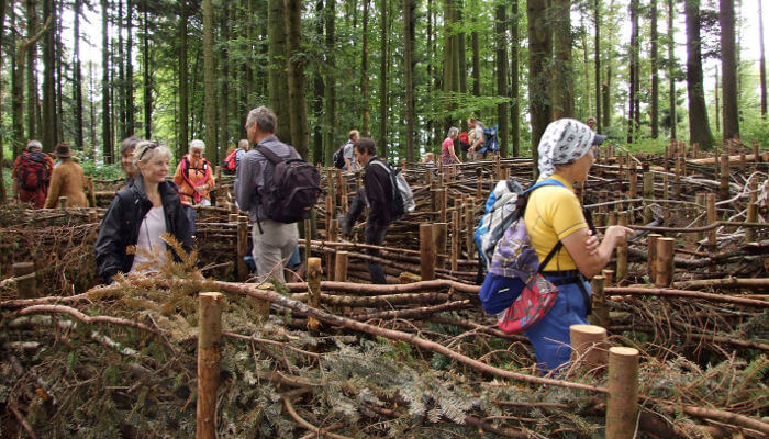 Holz-Labyrinth am Klimaweg Luzern