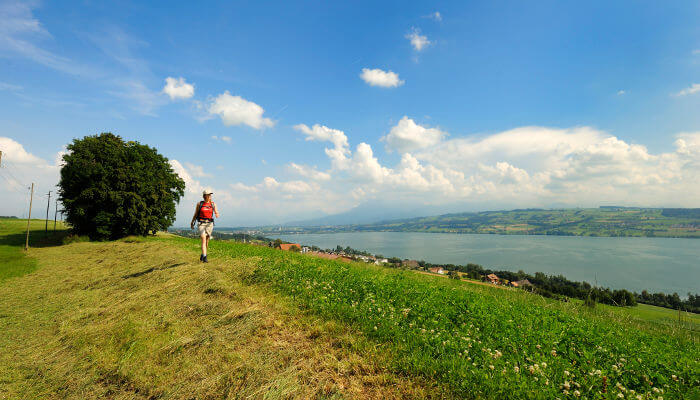 Wanderin auf Hügel am Sempachersee im Sommer