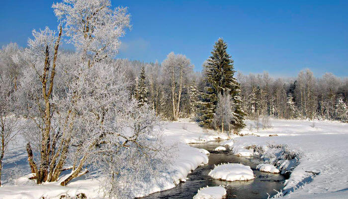 Bach von Schnee bedeckt im Hochmoor Rothenturm im Winter