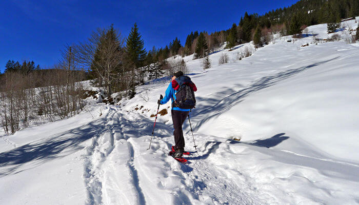 Schneeschuhwanderer auf einem Pfad in den Bergen bei Sonnenschein