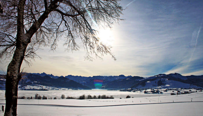 Sihlsee und Landschaft im Winter