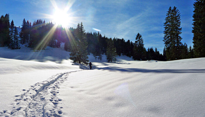 Schneepfad über Wiese zum Nolle bei Sonnenschein