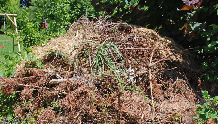 Grosser Totholhaufen im Sommer