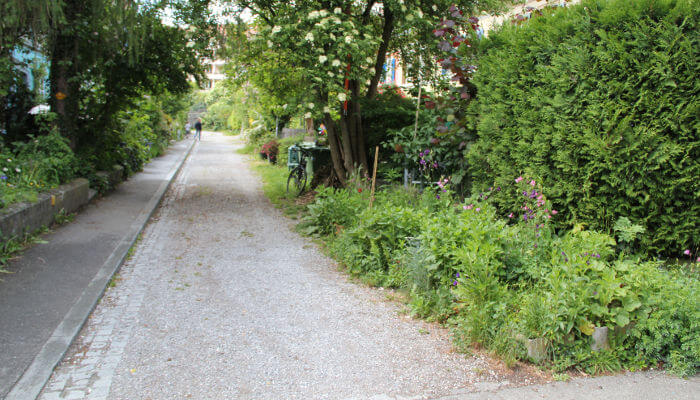 Wegrand als Lebensraum