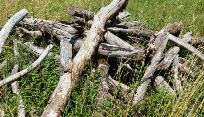 Holzstapel mit Ästen auf einer Wiese