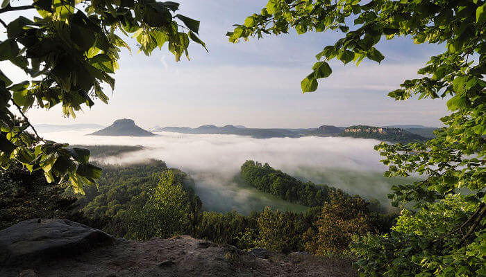 Nebel im Tal zwischen Bergen und Bäumen vor dem Lilienstein