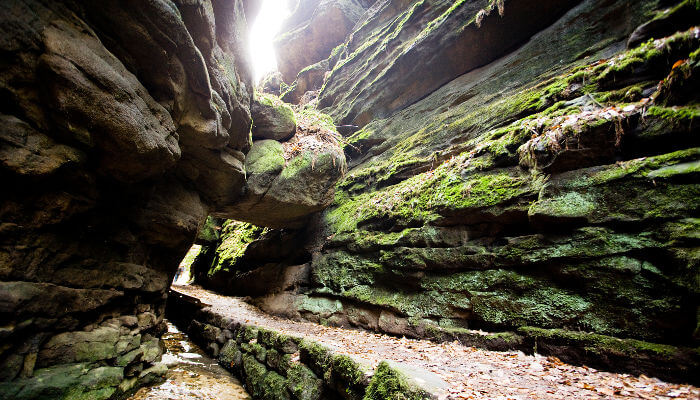 Weg mit Felswänden und Moos im Uttewalder Tor