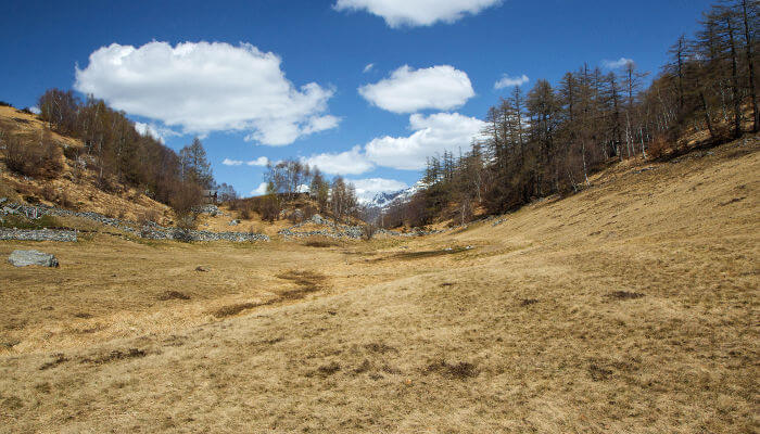 Graslandschaft im Frühling auf der Hochebene Capoli