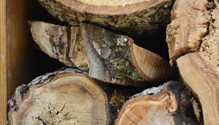 Altes Holzstücke als Totholz-Insel für Wildbienen