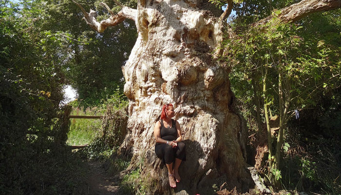 Frau vor grossem Baum an der Sonne