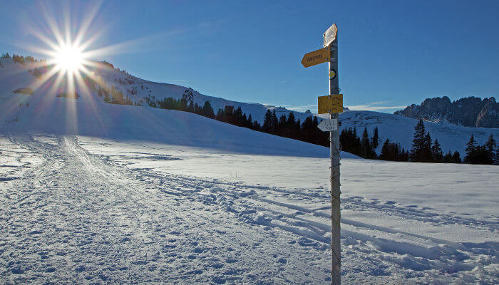 Wanderwegweiser in verschneiter Wiese