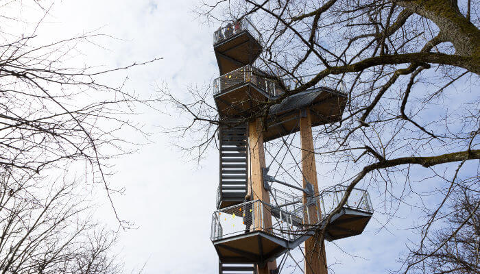 Siblinger Randentrum mitten im Wald