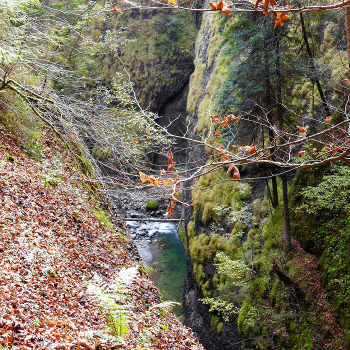 Tobel mit Bach und steilen Felswänden im Räbloch