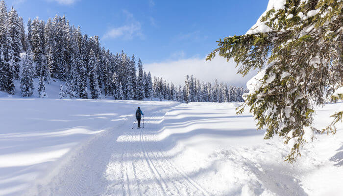 Schneeschuhwanderin in verschneiter Landschaft Riedbüel