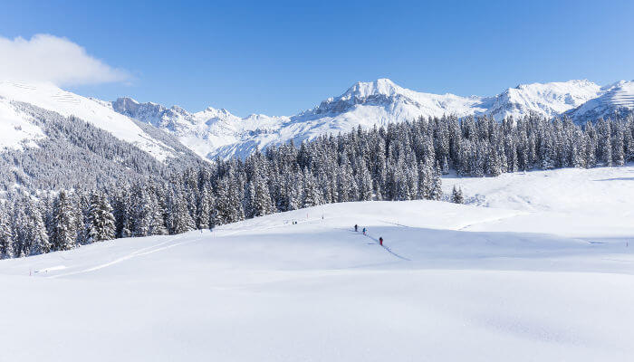 Verschneite Alp Valpun mit Tannen und Bergen in der Sonne