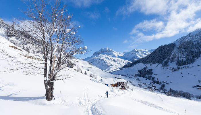 Verschneiter Baum und Wanderweg mit Wanderin in St. Antönien