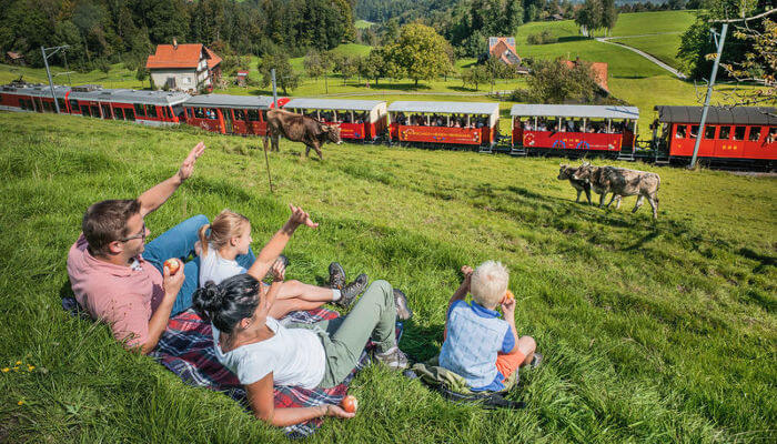 Wanderer schauen der Appenzeller-Bahn zu die vorbeifährt