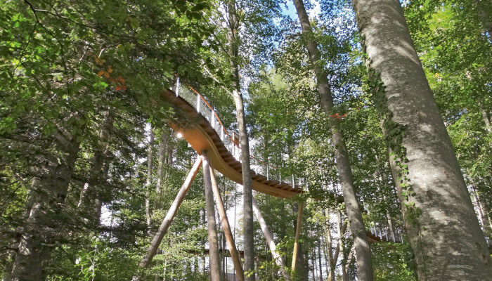 Holzsteg in den Bäumen auf dem Baumwipfelpfad Neckertal