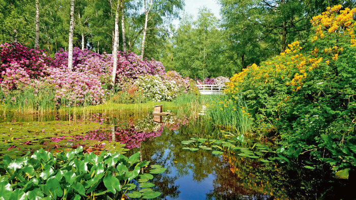 See und Blüten im Park Seeleger Moor