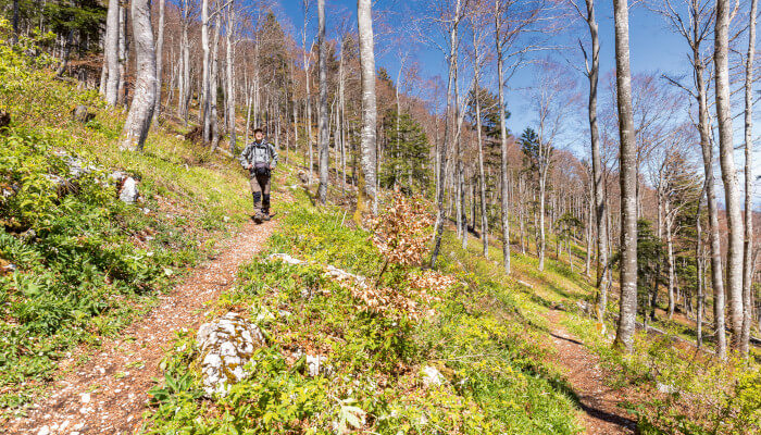 Schmaler Bergweg durch den Wald im Frühling mit Wanderin