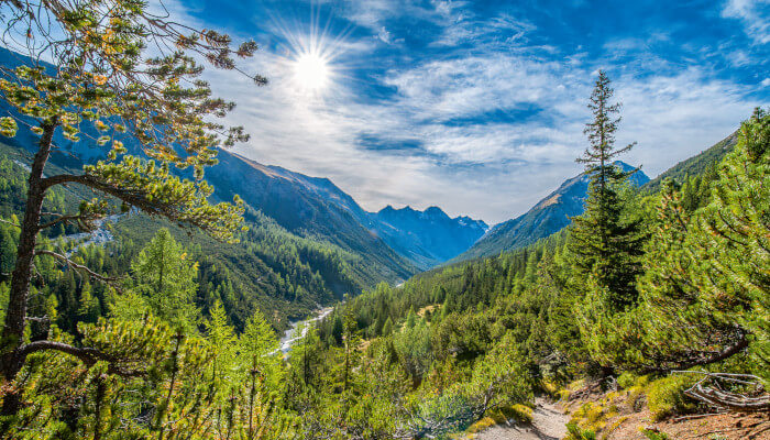 Wald und Talblick im Schweizer Nationalpark