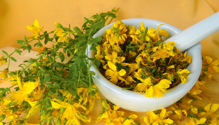 Weisse Schale mit Johanniskraut-Blüten gefüllt.