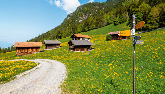 Sommerweg bei Sonnenschein beim Siedlungsplatz Profatscheng