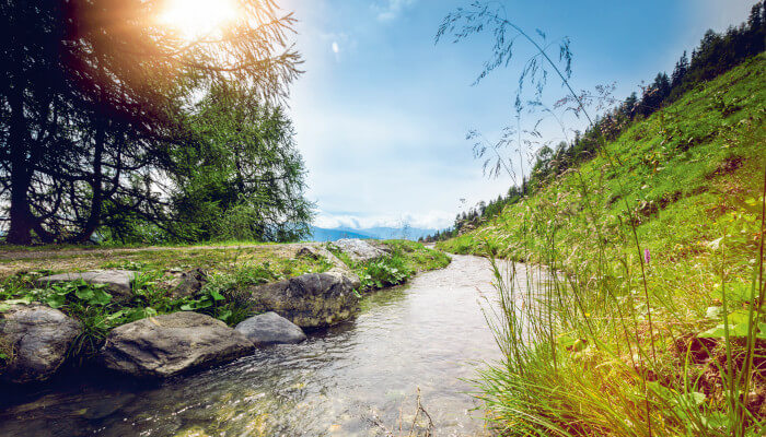 Weg entlang der Walliser Suonen im Sommer