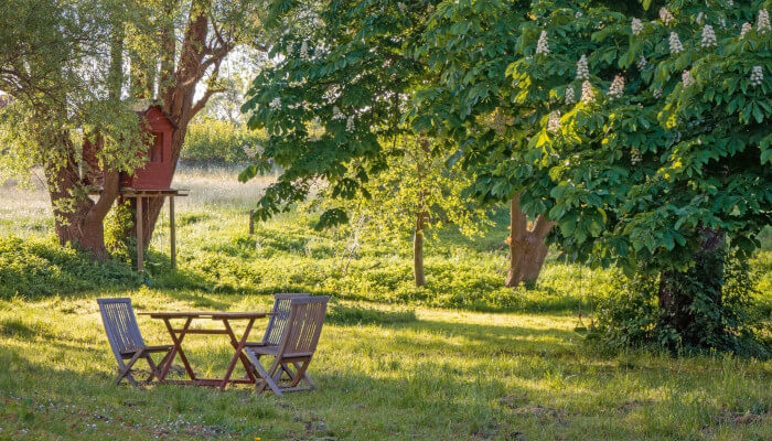 Sitzplatz unter schattigem Baum im Sommer