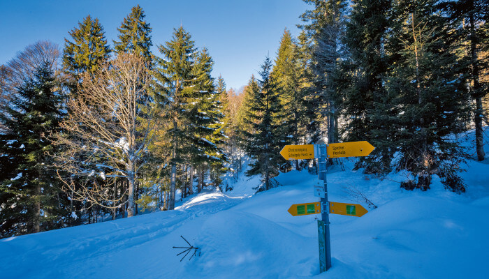 Wanderwegweiser in Schneelandschaft