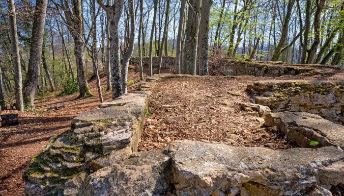 Burgruine in Frühlingswald