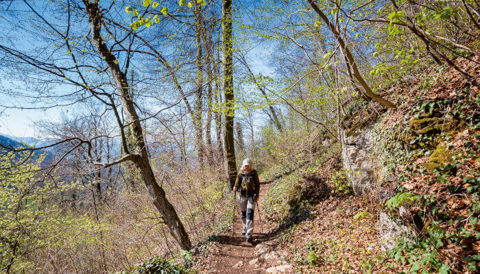 Wanderin auf schmalen Weg durch den Frühlingswald