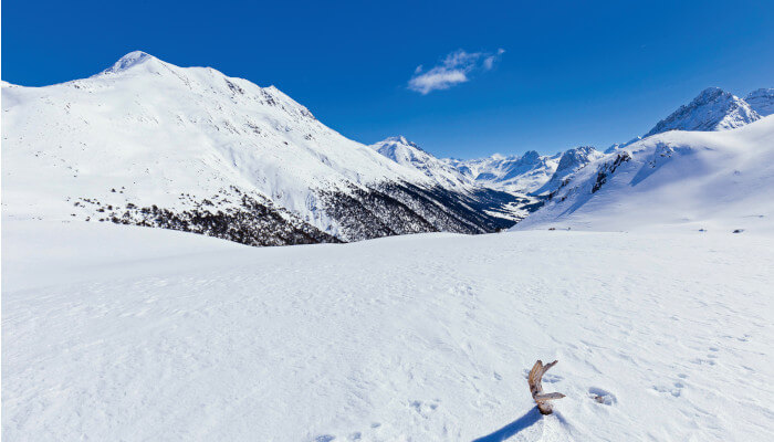 Blick ins verschneite Val Mora bei Sonnenschein im Winter