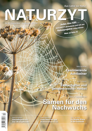 Cover der aktuellen NATURZYT Ausgabe mit Verlinkung auf unser Abo-Formular